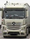 Acrylic part MB Actros MPIV Big/Giga with FVM