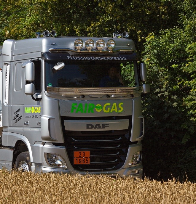 Stoneguard Stainless Steel for Daf