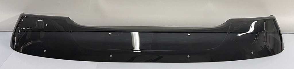 Acrylic Screen for Sunvisor DAF CF Space Cab