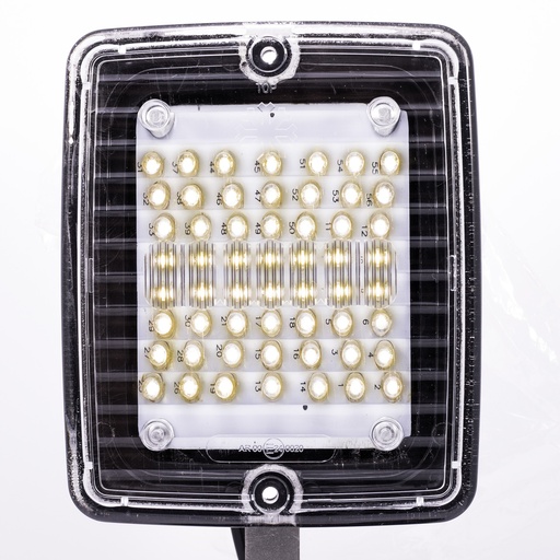 [5800116] IZELED reversing light LED